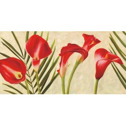 RED CALLAS