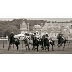 PRIX DE DIANE PRESTIGIOUS HORSE RACE IN CHANTILLY