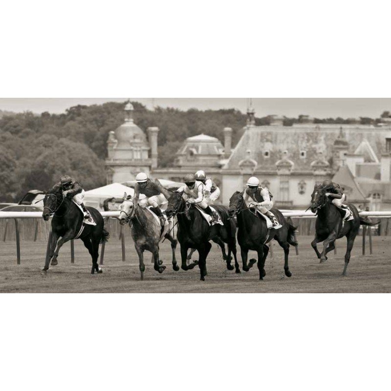 PRIX DE DIANE PRESTIGIOUS HORSE RACE IN CHANTILLY