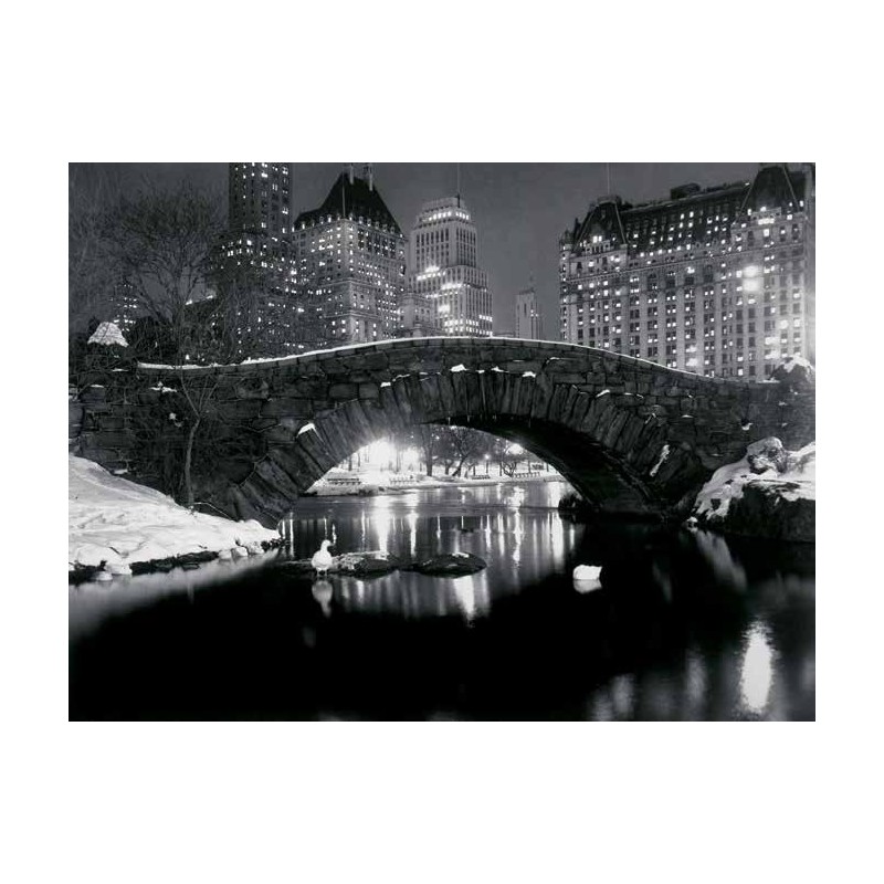 BRIDGE IN CENTRAL PARK, NYC, 1957