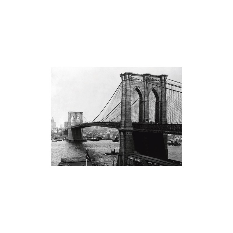 BROOKLYN BRIDGE, NEW YORK, 1900 