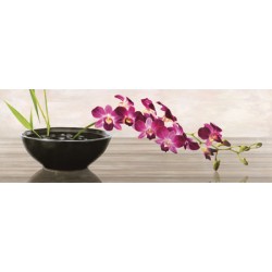 ORCHID ARRANGEMENT