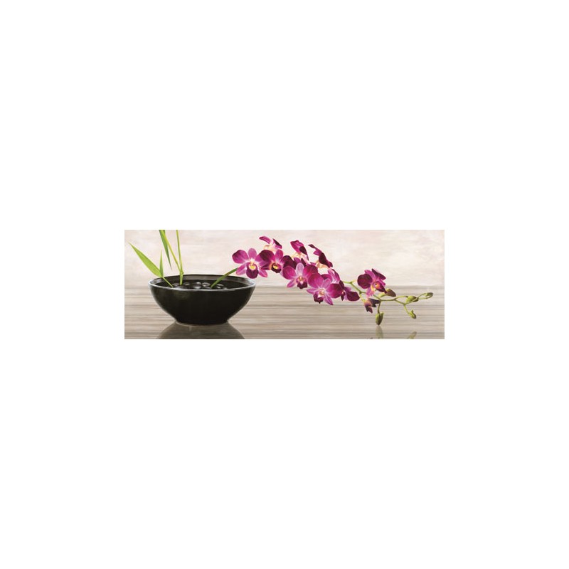ORCHID ARRANGEMENT