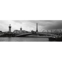 PONT ALEXANDRE-III AND EIFFEL TOWER (DETAIL)