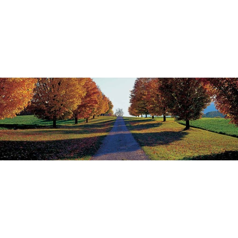 AUTUMN ROAD, STORM KING MOUNTAIN, NEW YORK