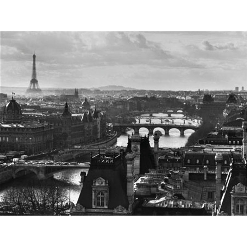 RIVER SEINE AND THE CITY OF PARIS