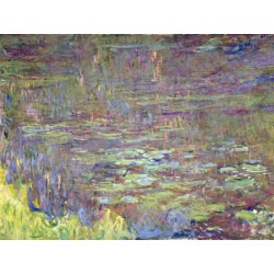 DETAIL OF WATERLILIES AT SUNSET