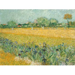 FIELD WITH IRISES NEAR ARLES 