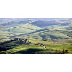 A ROAD IN TUSCANY