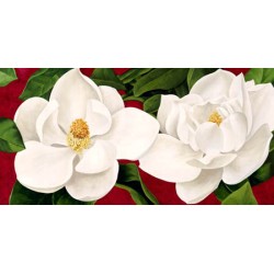 MAGNOLIE IN FIORE