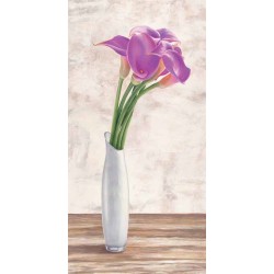 CALLA ARRANGEMET