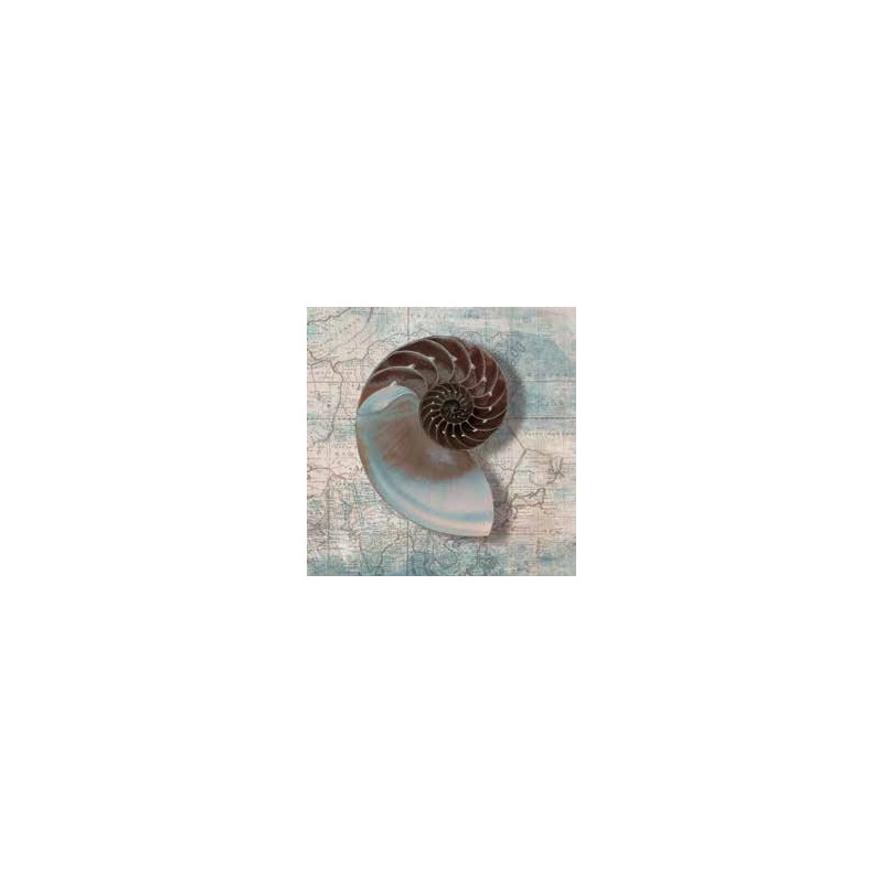 NAUTILUS