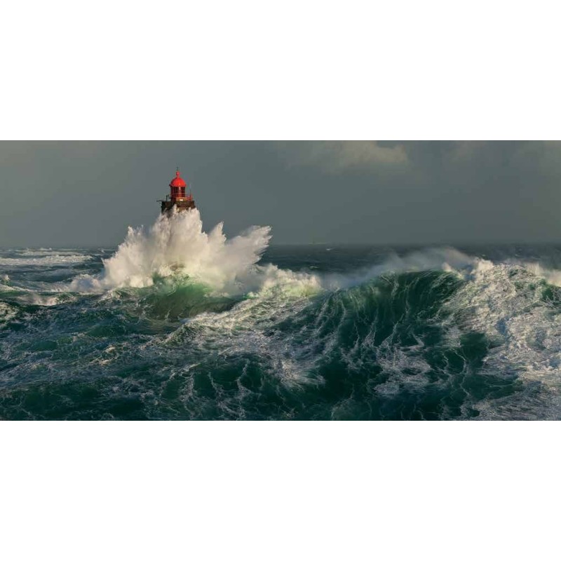 LA JUMENT DANS LA TEMPÊTE