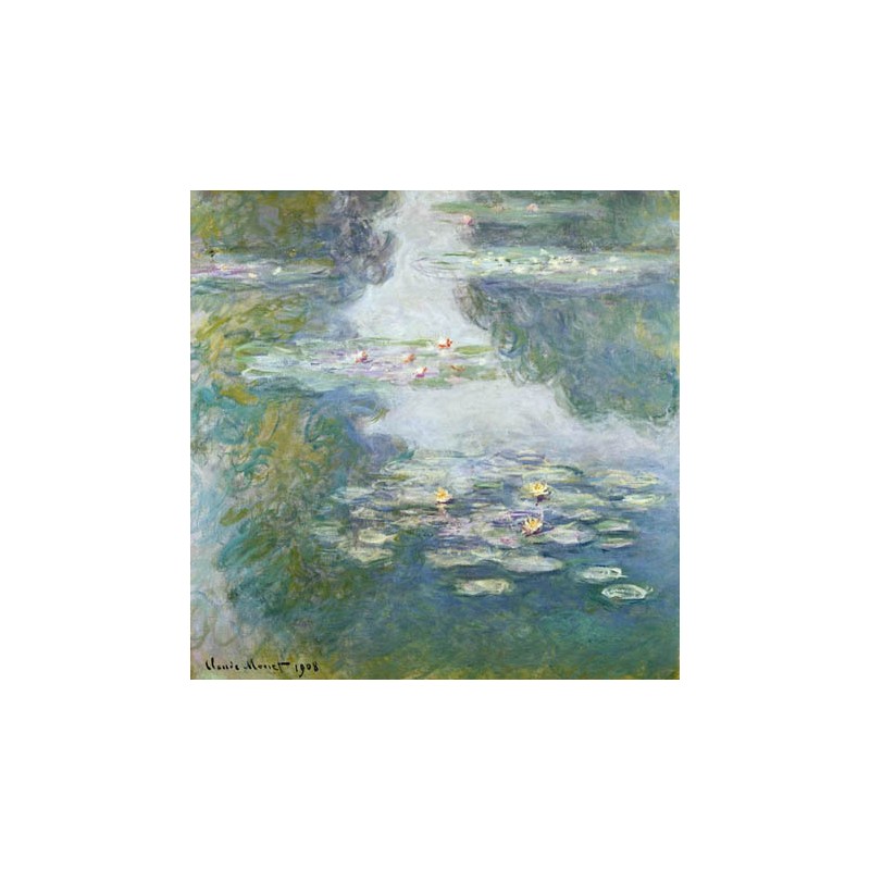 WATERLILIES