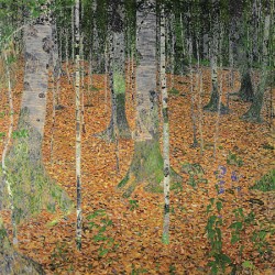 THE BIRCH WOOD 