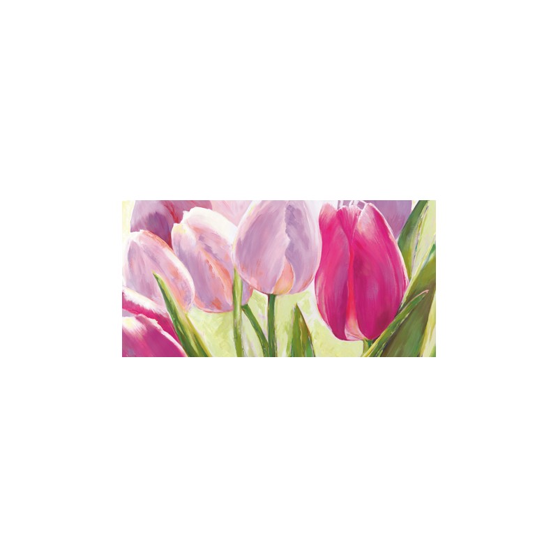 TULIPES