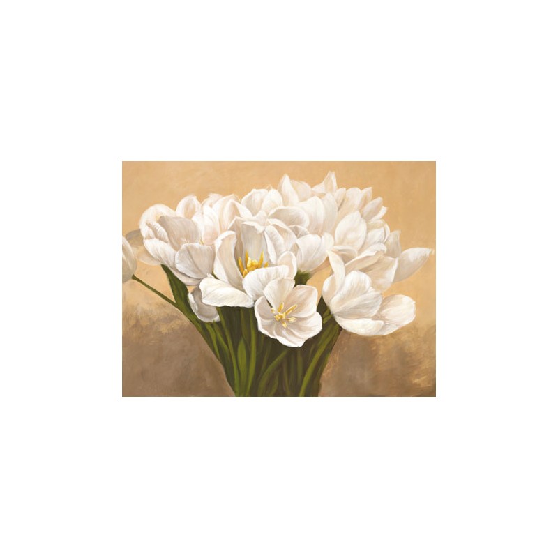 TULIPES BLANCHES