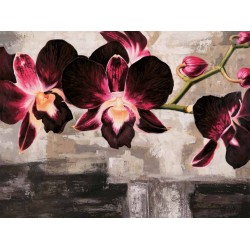 VELVET ORCHIDS