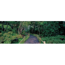 TEA GARDEN WALKWAY, SAN FRANCISCO BOTANICAL GARDENS