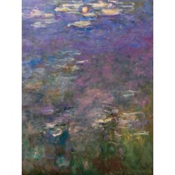 WATER LILIES III