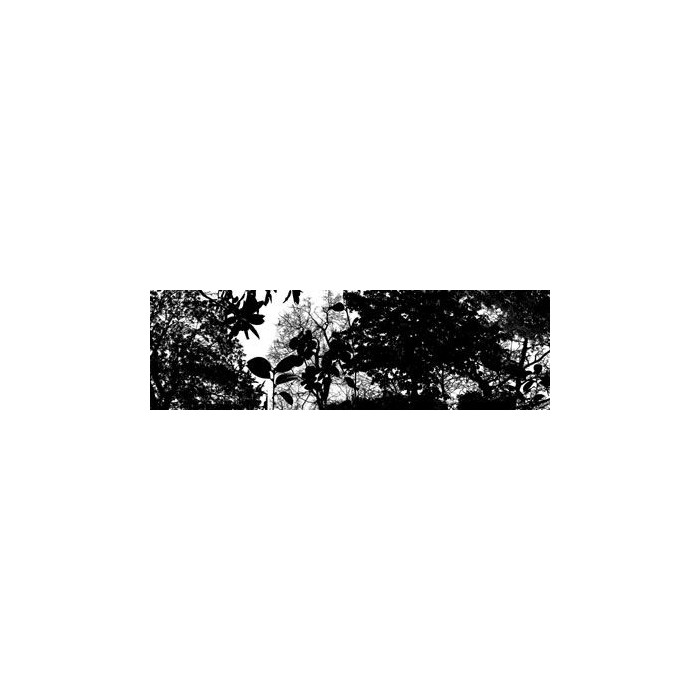 LANDSCAPE, 2007