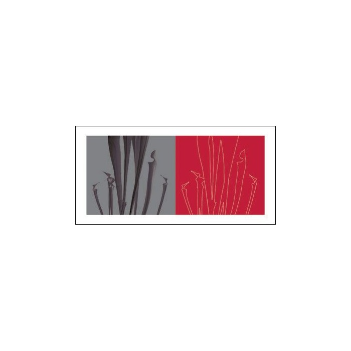 STEMS, 2006