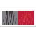 STEMS, 2006