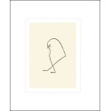 SPARROW, 1907