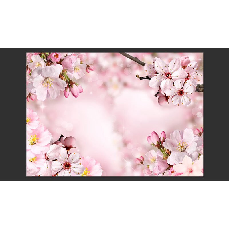 Fotomural Spring Cherry Blossom
