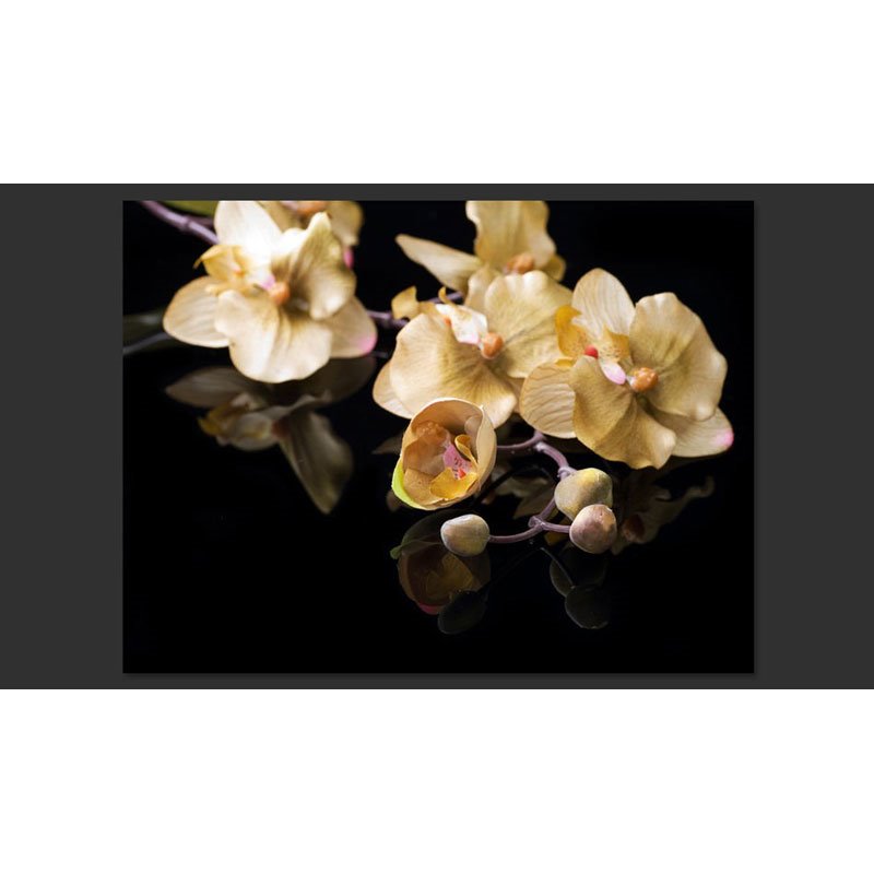 Fotomural Orchids in ecru color