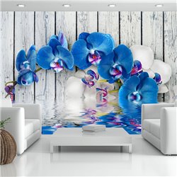 Fotomural Orquídea azul de cobalto