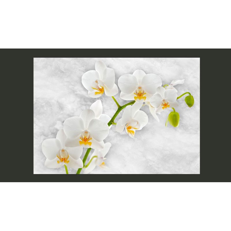 Fotomural Orquídea lírica blanco