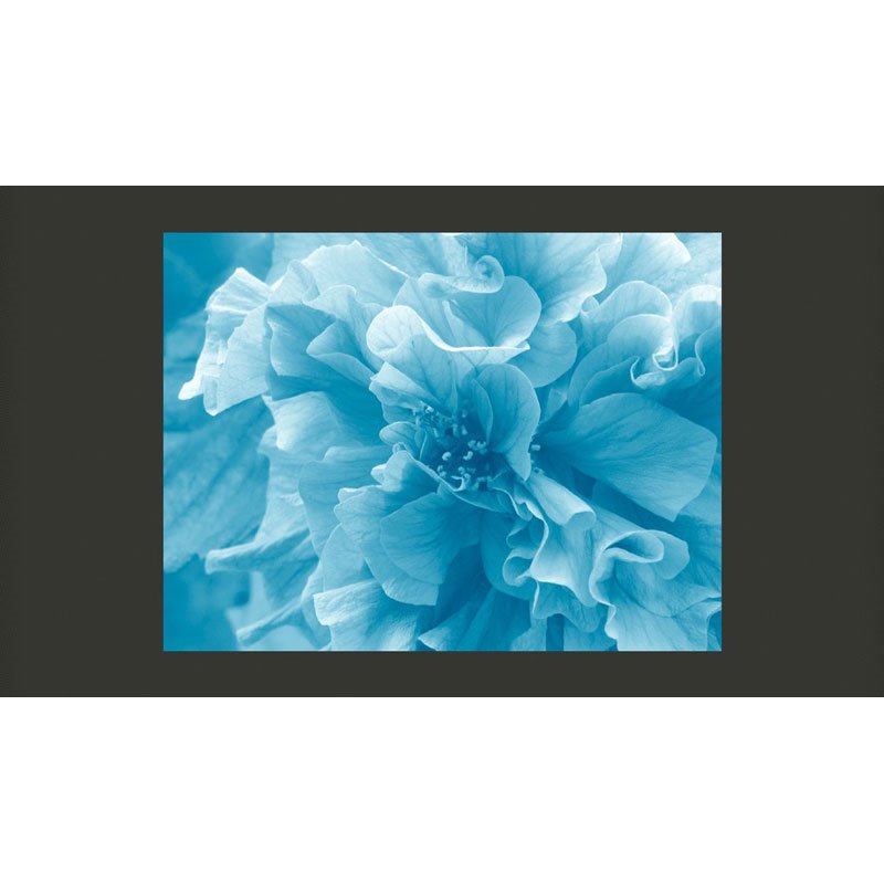 Fotomural Blue azalea