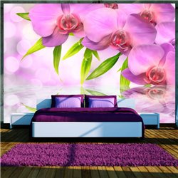 Fotomural Orquídeas color lila