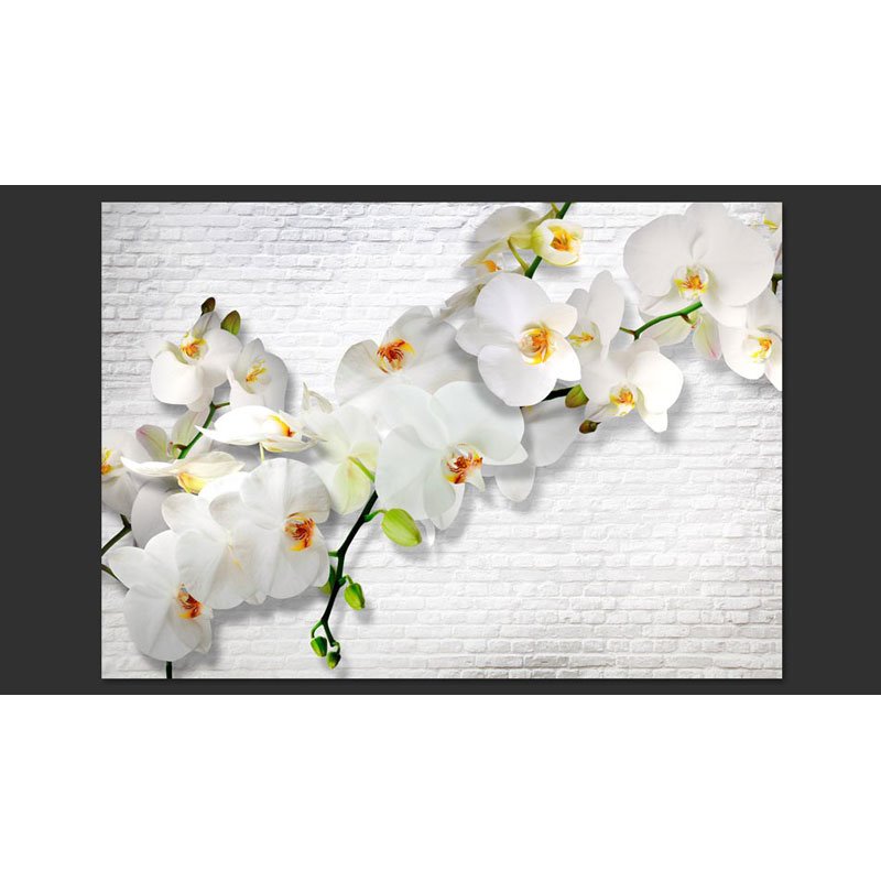 Fotomural Orquídeas en la pared