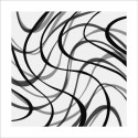 BLACK LINES, 2006