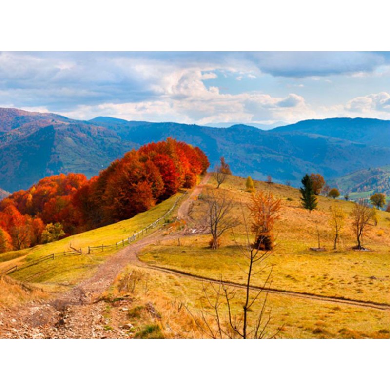 Fotomural Mountain In Autumn