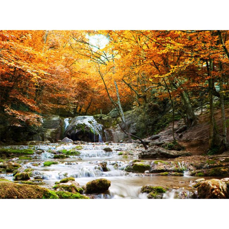 Fotomural Autumn Waterfall