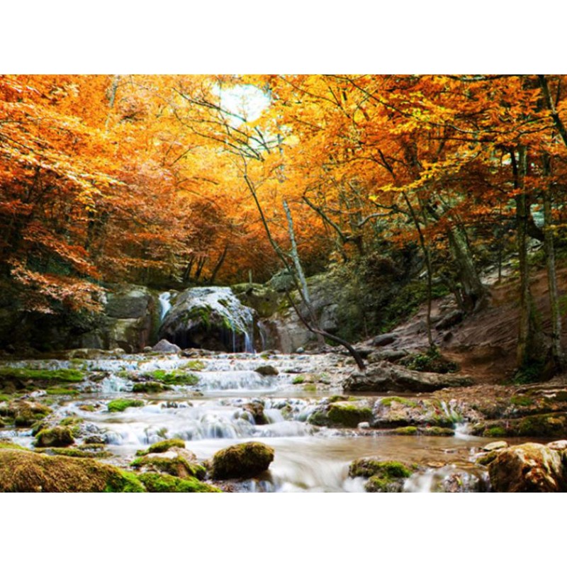 Fotomural Autumn Waterfall