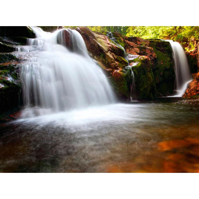 Fotomural The River Elba