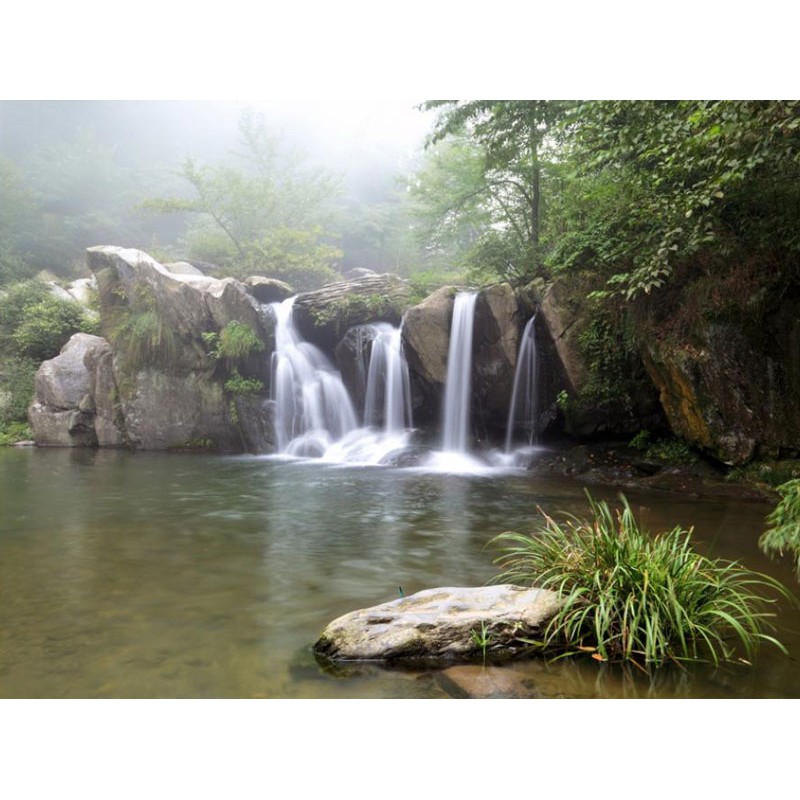 Fotomural Zen Pool, Black Dragon