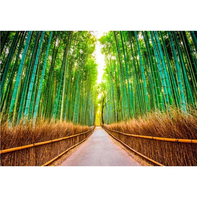 Fotomural Bamboo Road