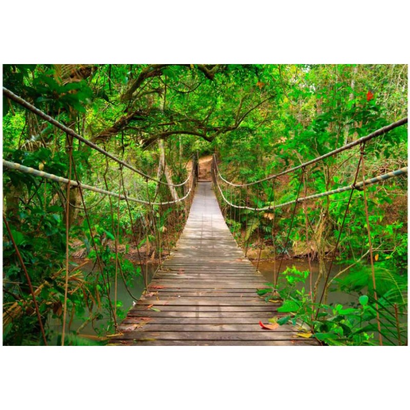 Fotomural Forest Bridge