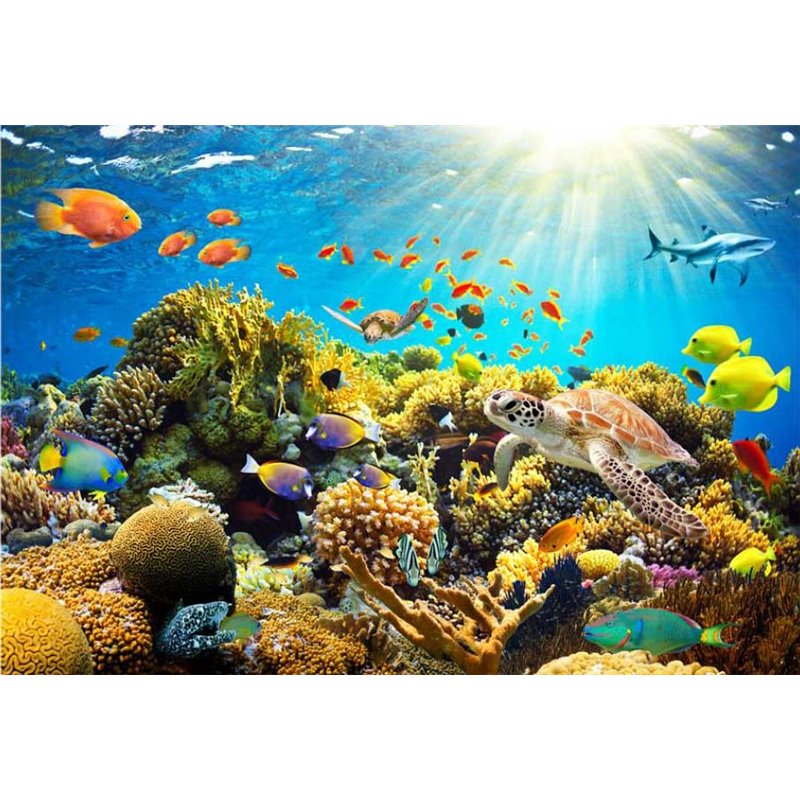 Fotomural Reef Colors