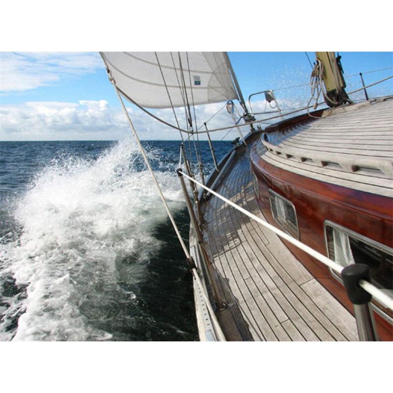 Fotomural Sailing Boat II