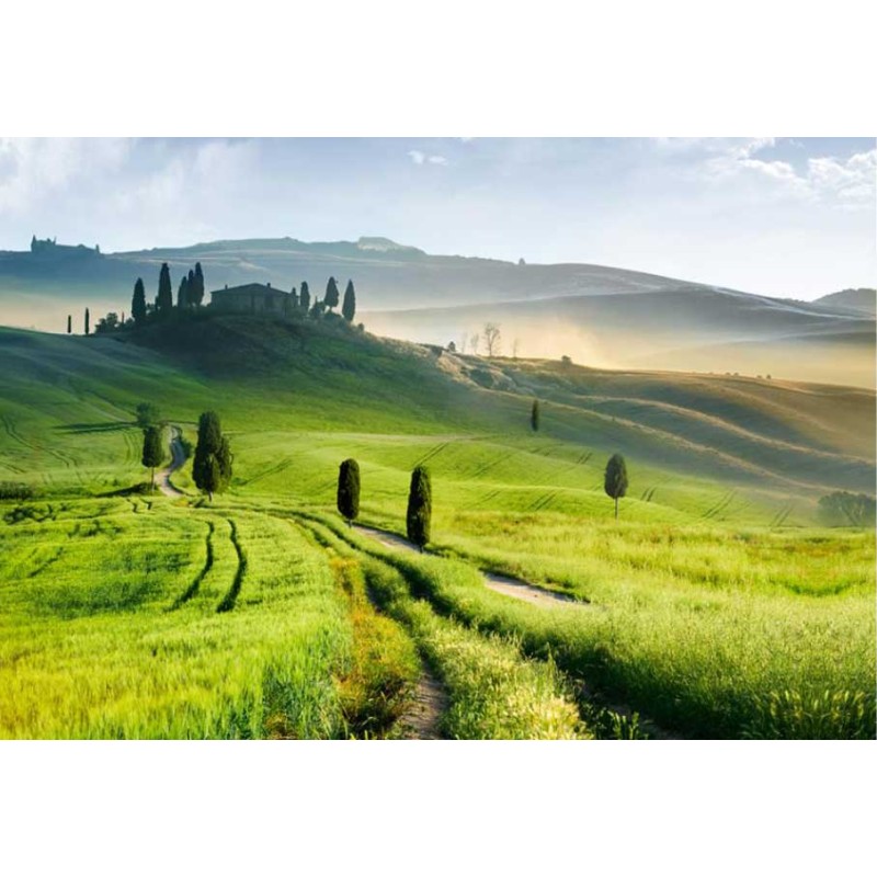 Fotomural Tuscany