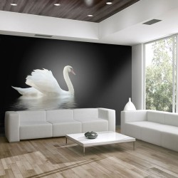 Fotomural Cisne (Blanco Y Negro)