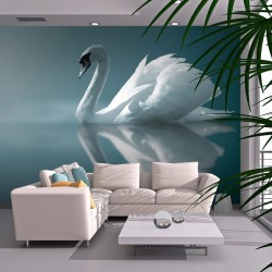 Fotomural Cisne, Momento Relax