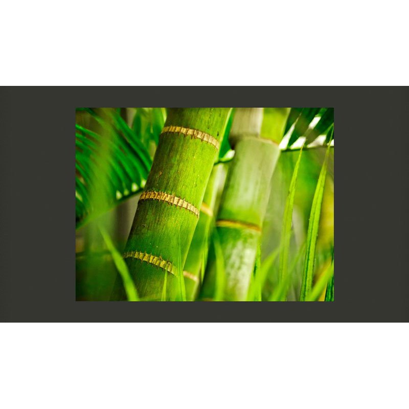 Fotomural Bambú (detalle)
