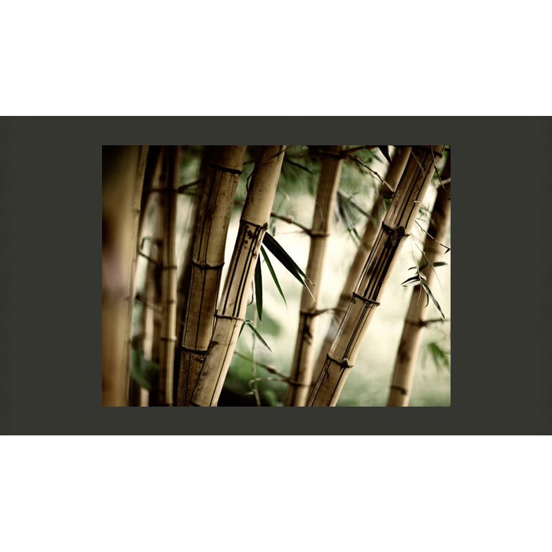 Fotomural Bosque de Bambú